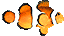 ClownFish