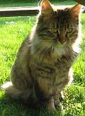 QUINCY